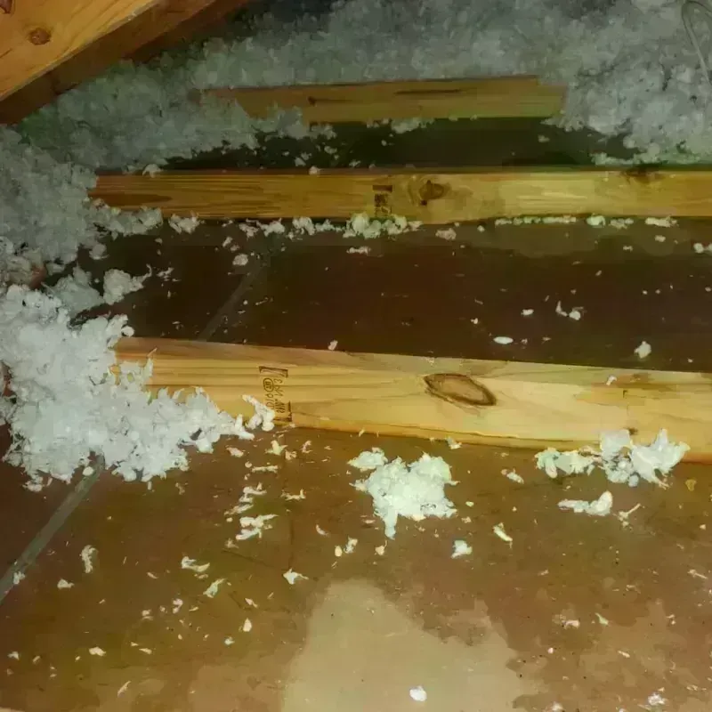 Attic Water Damage in Avis, PA